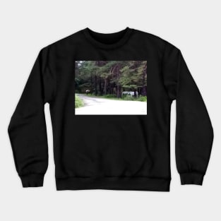 New Forest Ponies Crewneck Sweatshirt